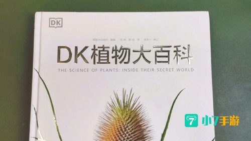 主叶群