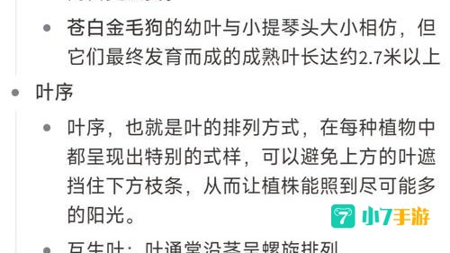 主叶群
