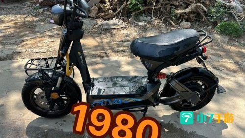 113ds