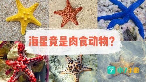 什么海洋动物没有心脏