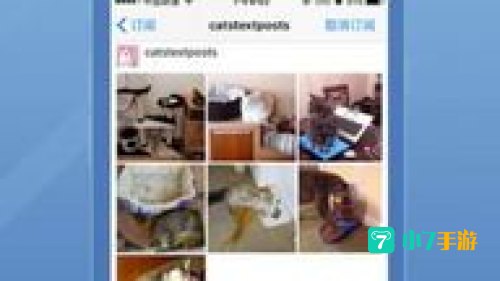 tumblr app