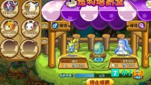 洛克王国多哥